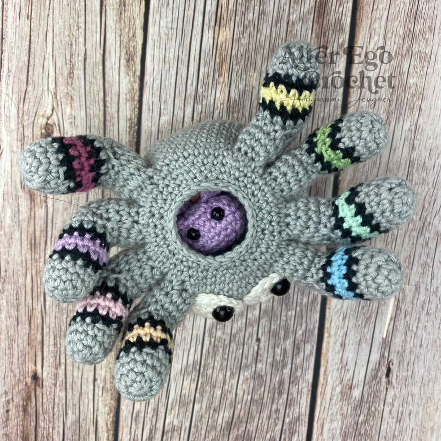 Edderkop Overraskelse