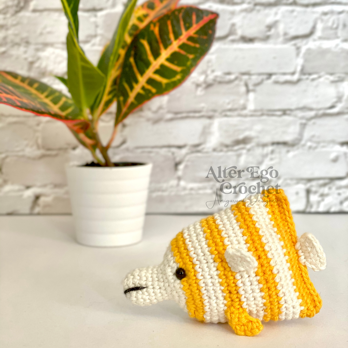 Pincetfisken Bonnie